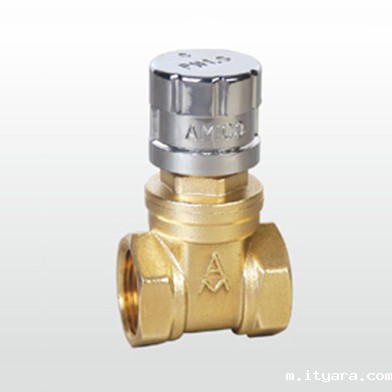 米兰app下载免费安装苹果手机黄铜磁性带锁闸阀196