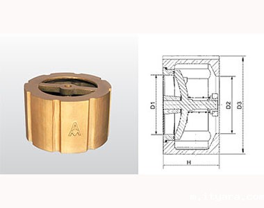 米兰app下载免费安装苹果手机黄铜消声止回阀结构图