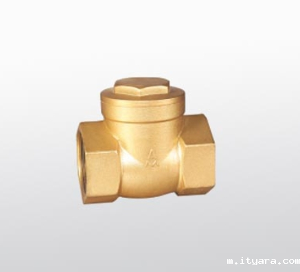 米兰app下载免费安装苹果手机止回阀401图片