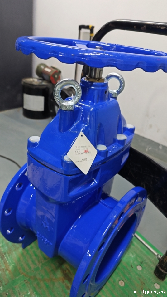 米兰app下载免费安装苹果手机新款软密封闸阀